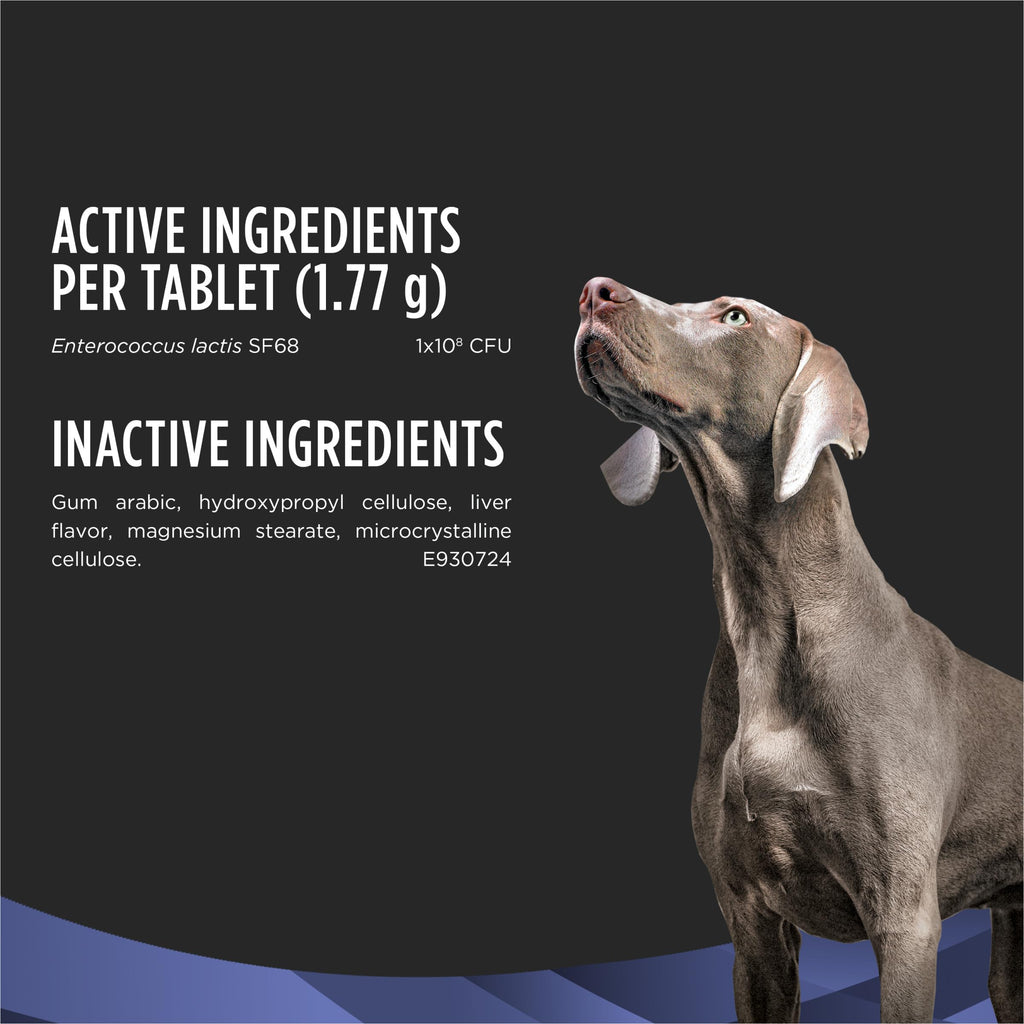 Probiotic Dog Tablets 45 Count H880