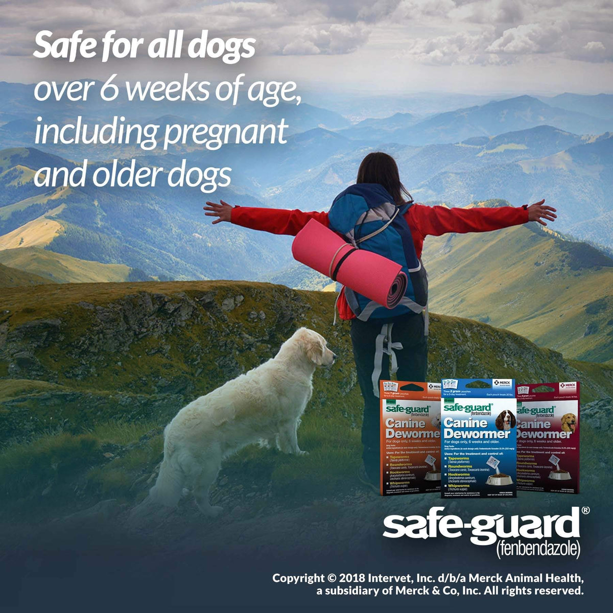 Canine Dewormer 4gm pouch Q956541