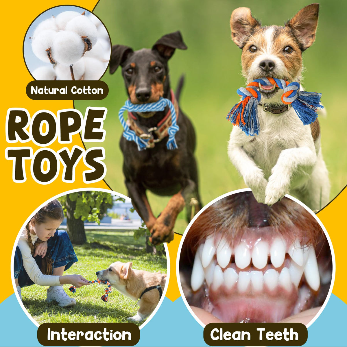 9 Pack Puppy Chew Toys with Rope G422
