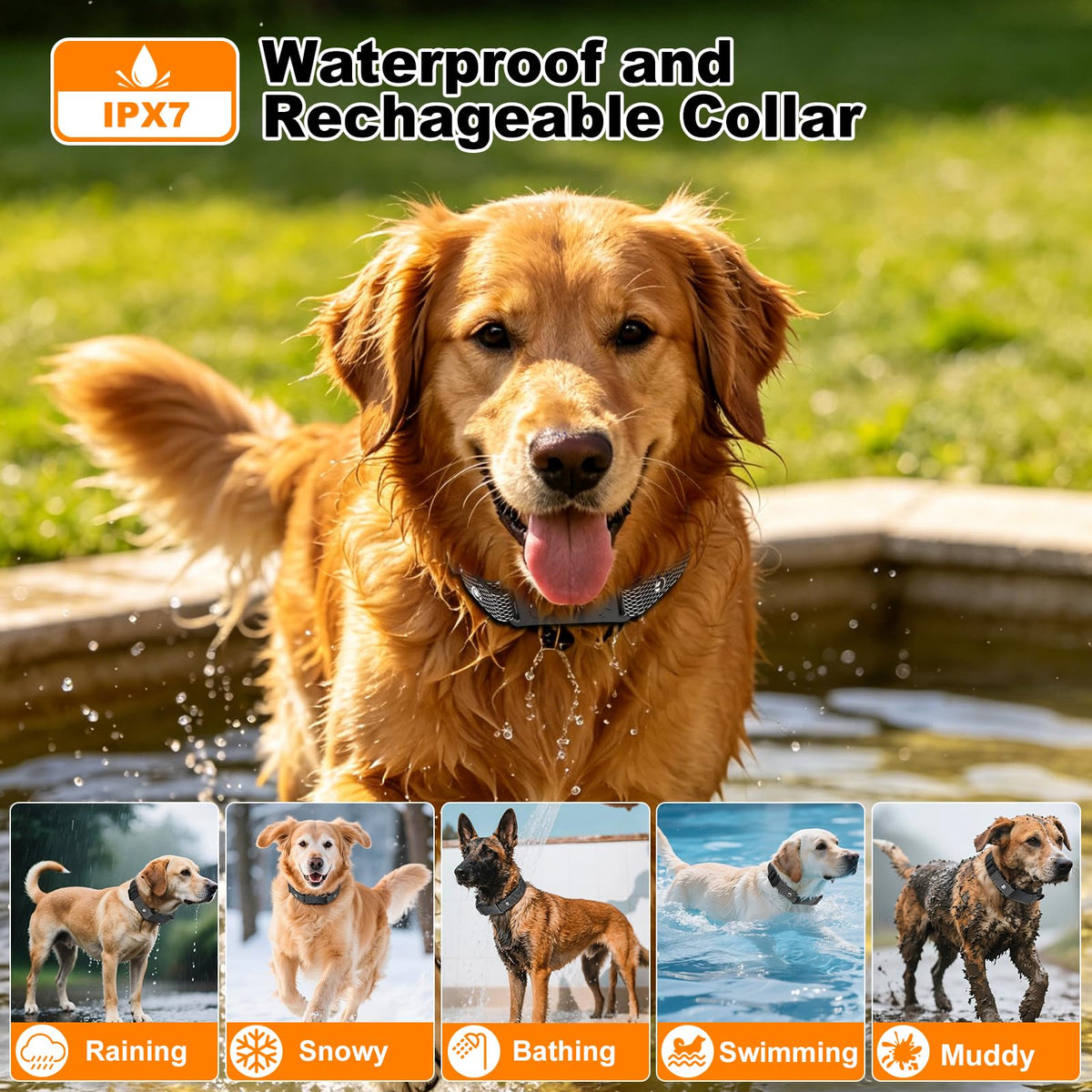 Wireless Dog Fence X603