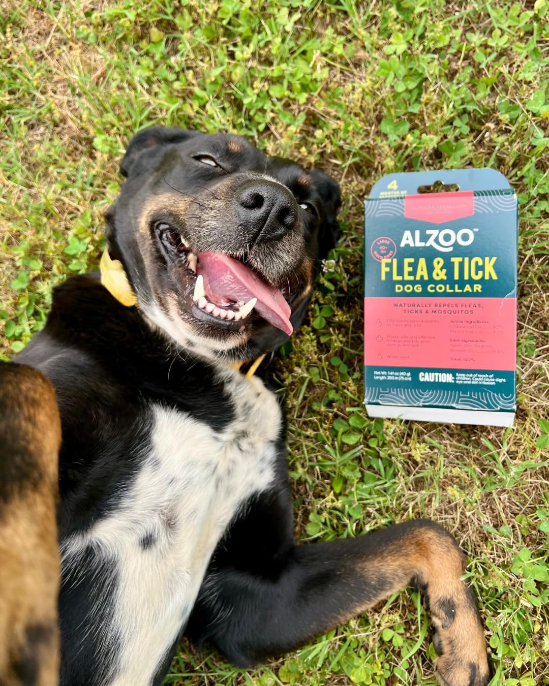 Plant Based Flea & Tick Dog Collar J1307