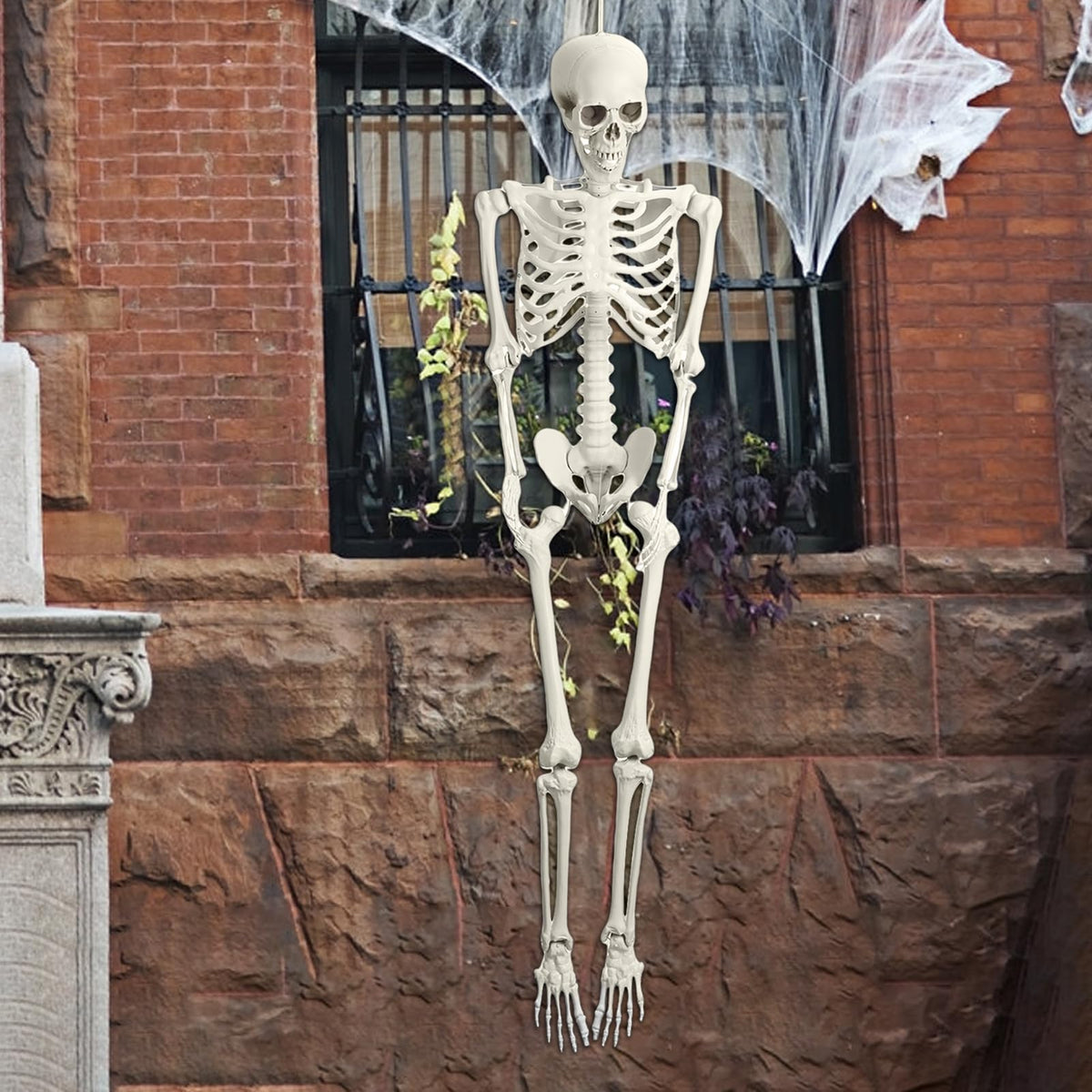 Life Size Plastic Skeleton with Movable Joints K2447