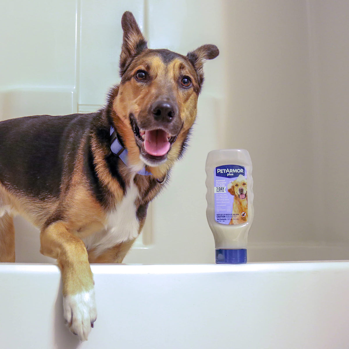 Oatmeal Flea & Tick Shampoo Dogs 18oz M1874