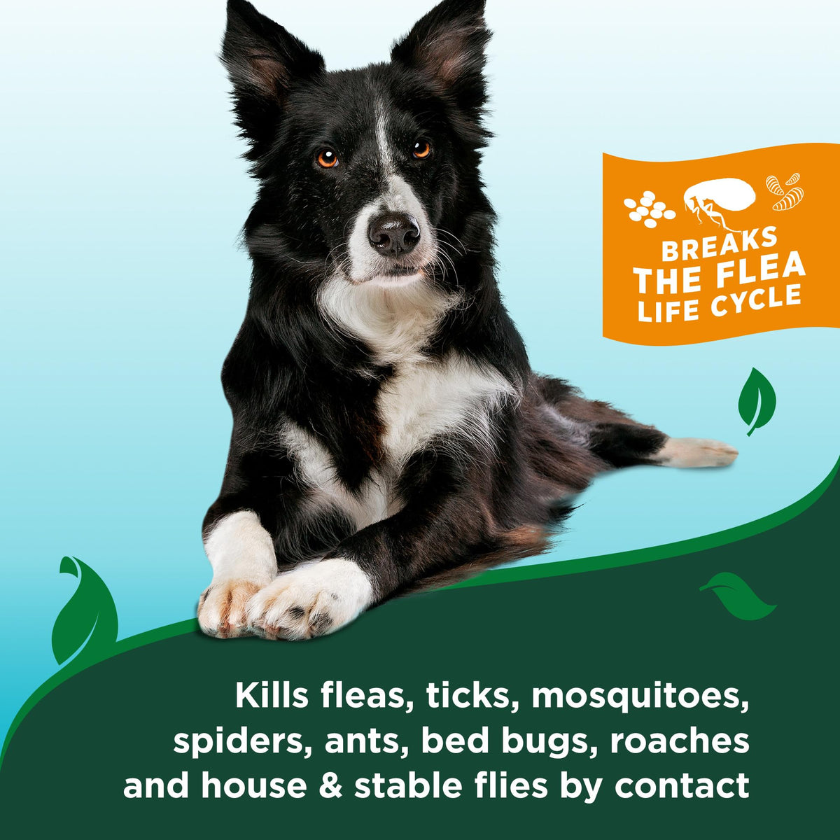 Waterless Flea & Tick Bath for Dogs 8 oz H68347