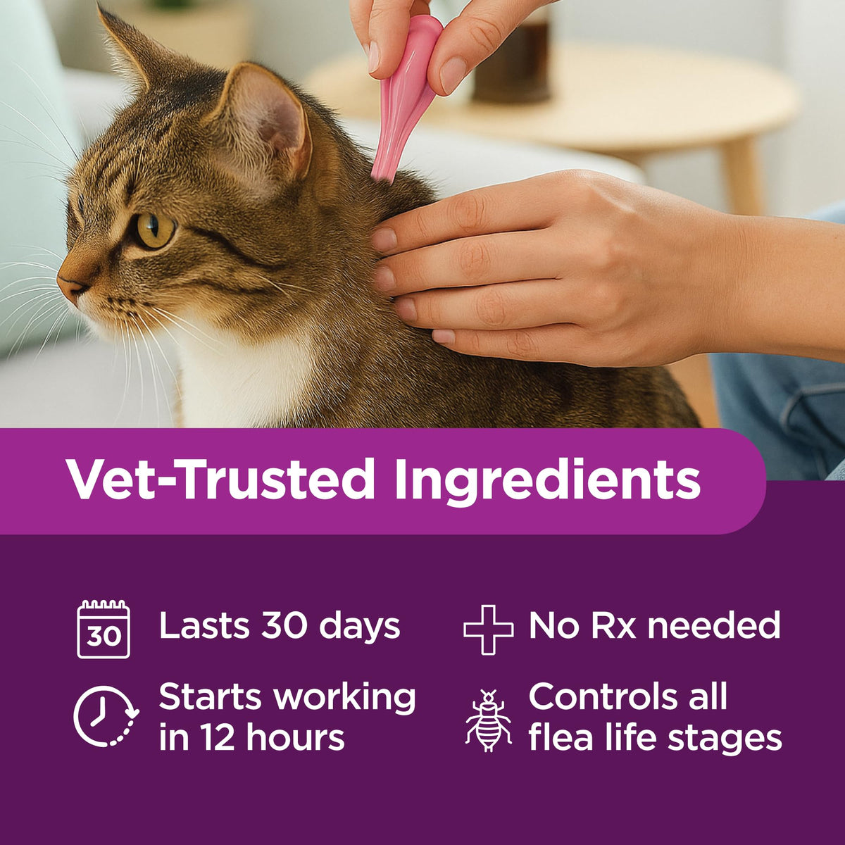 Flea Treatment for Small & Medium Cats 5-9 lbs, 6 Doses K4379