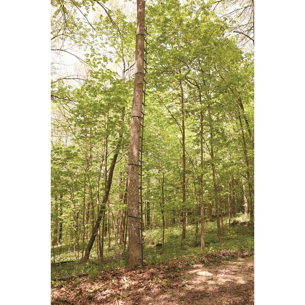 Full Step Climbing Stick Ladder P62329