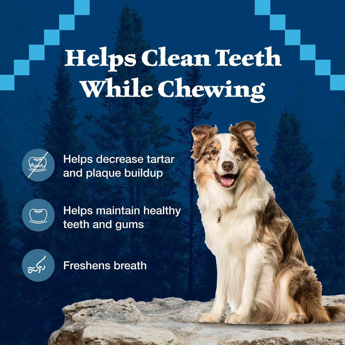 Grain-Free Large Dog Dental Chews D345776