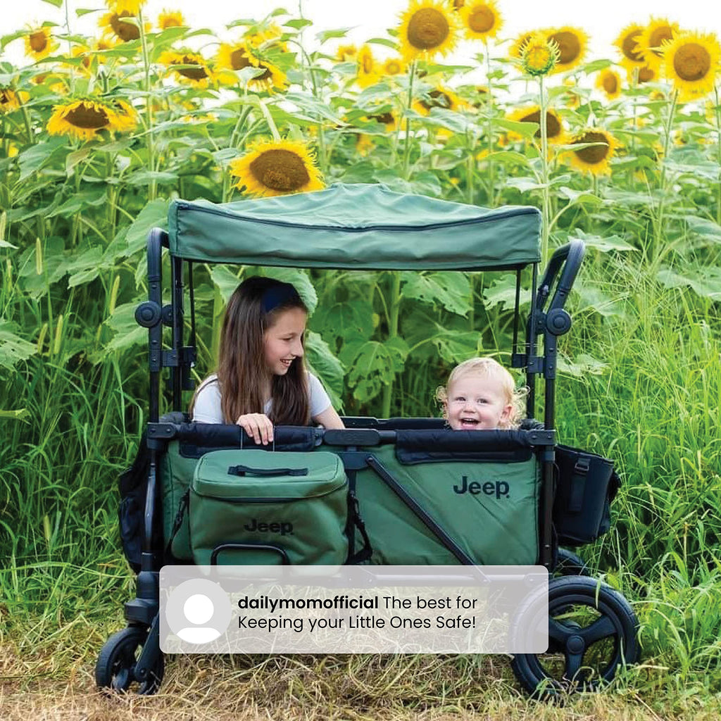 Black/Green Stroller Wagon with Cooler Bag V4776